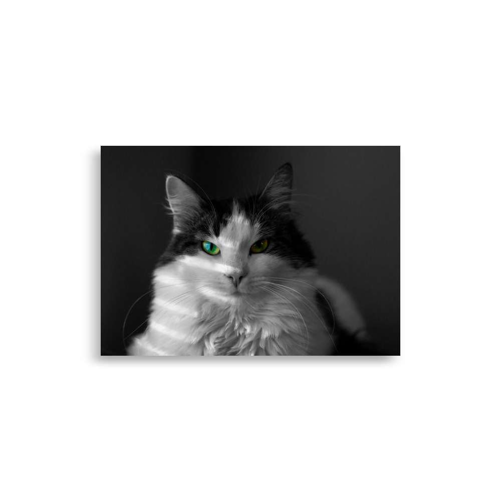Lilli - matte poster - Image 3