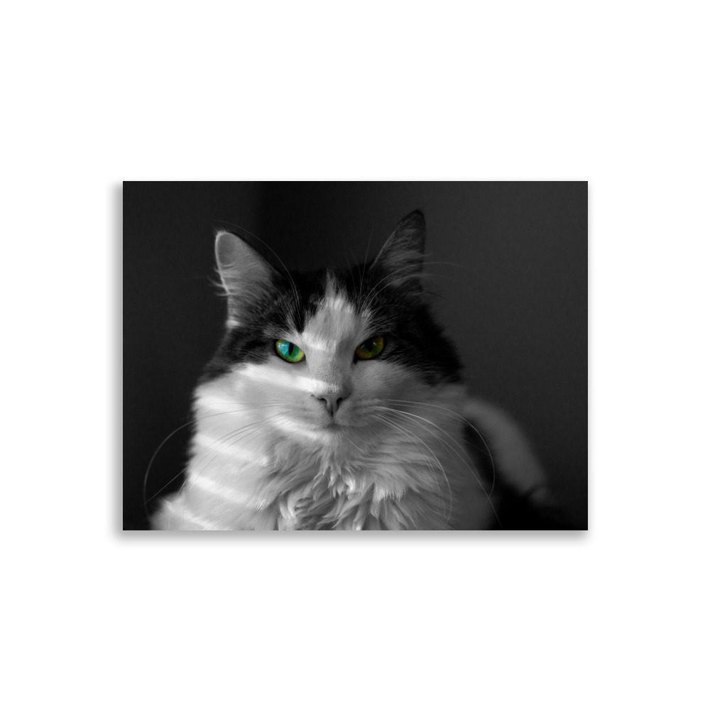 Lilli - matte poster - Image 4