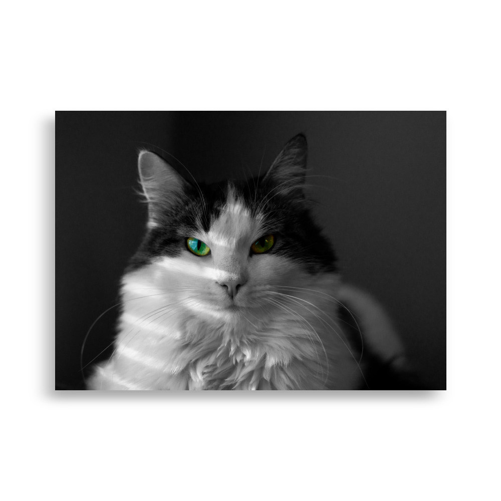 Lilli - matte poster - Image 5