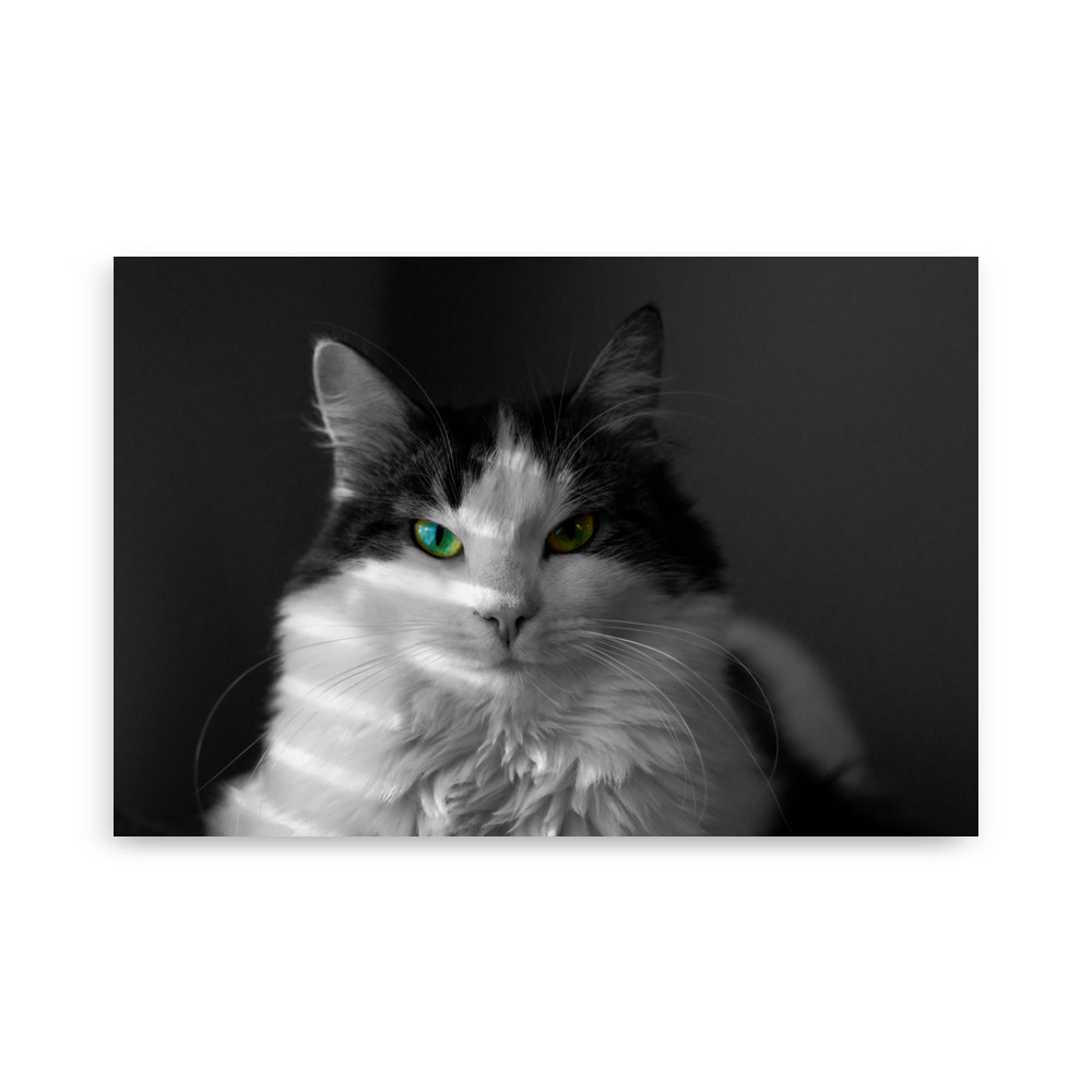 Lilli - matte poster - Image 6