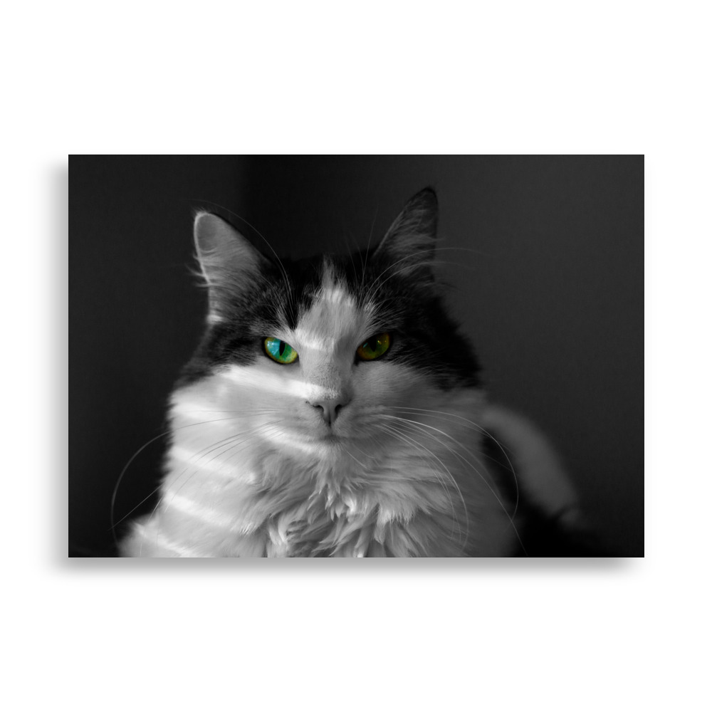 Lilli - matte poster - Image 7