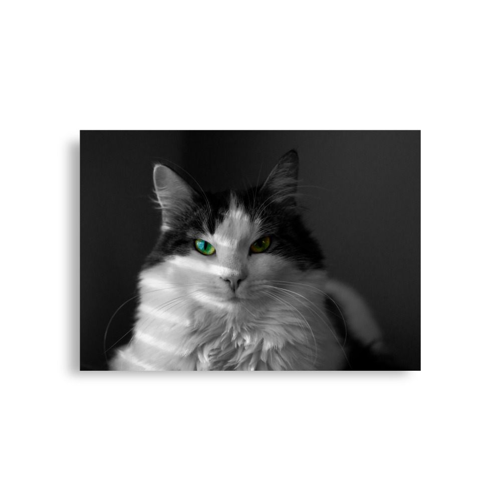 Lilli - matte poster - Image 2