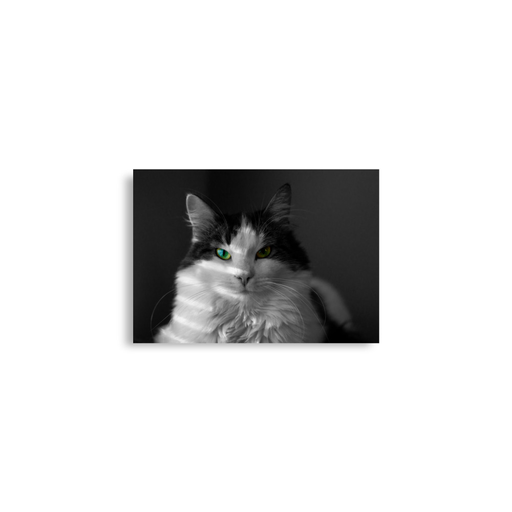 Lilli - matte poster